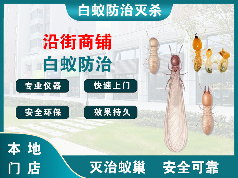 建德沿街商铺白蚁防治