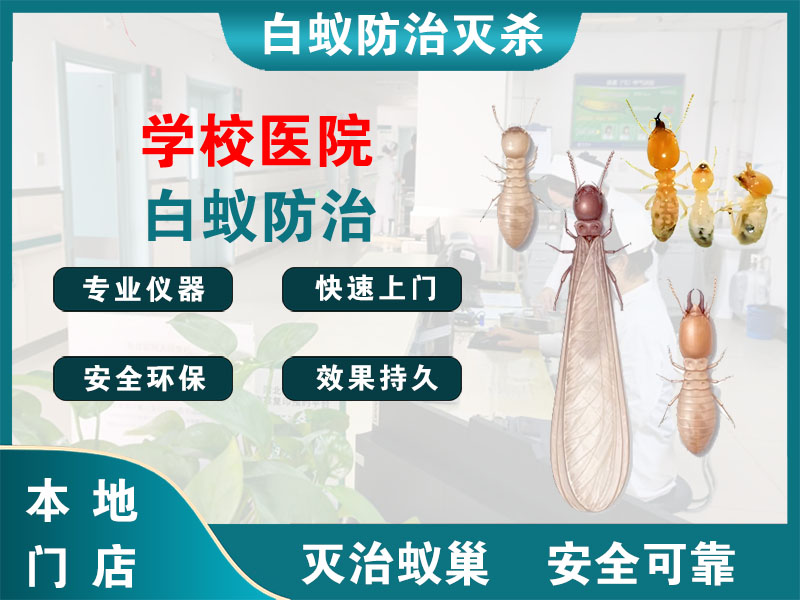 建德学校医院白蚁防治