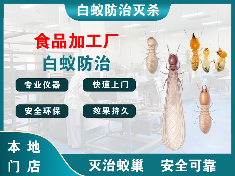 建德食品加工厂白蚁防治