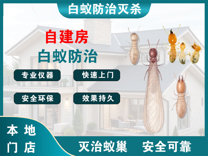 建德自建房白蚁防治