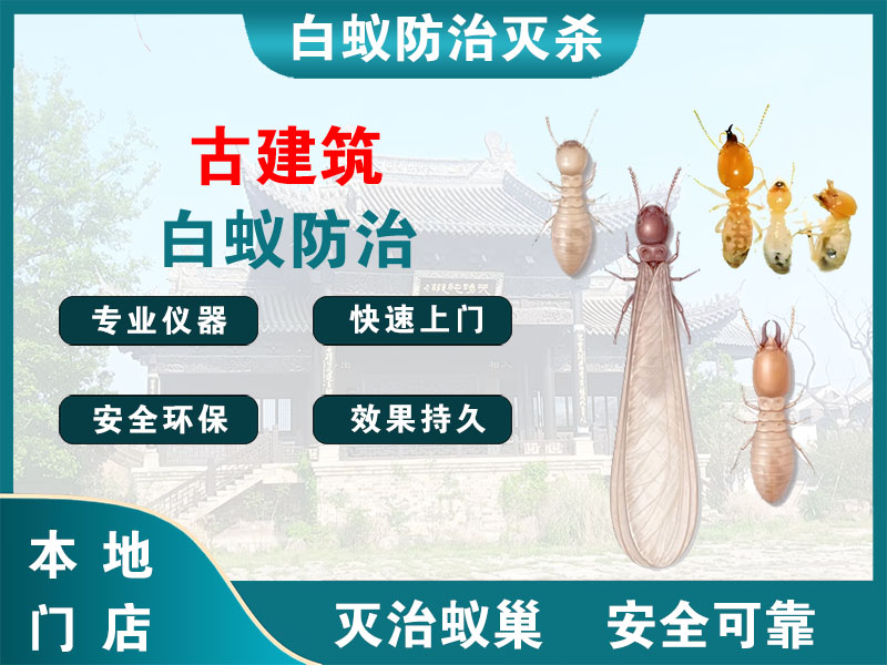 建德古建筑白蚁防治