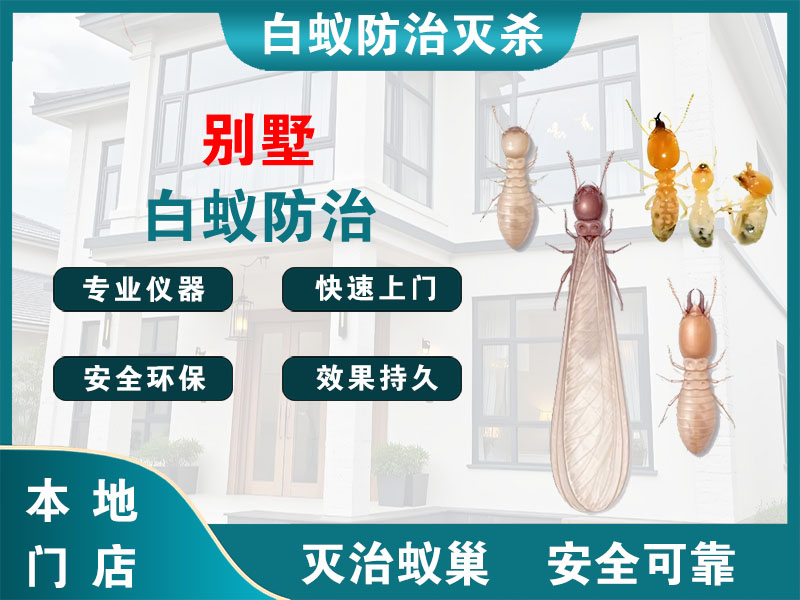 建德别墅白蚁防治