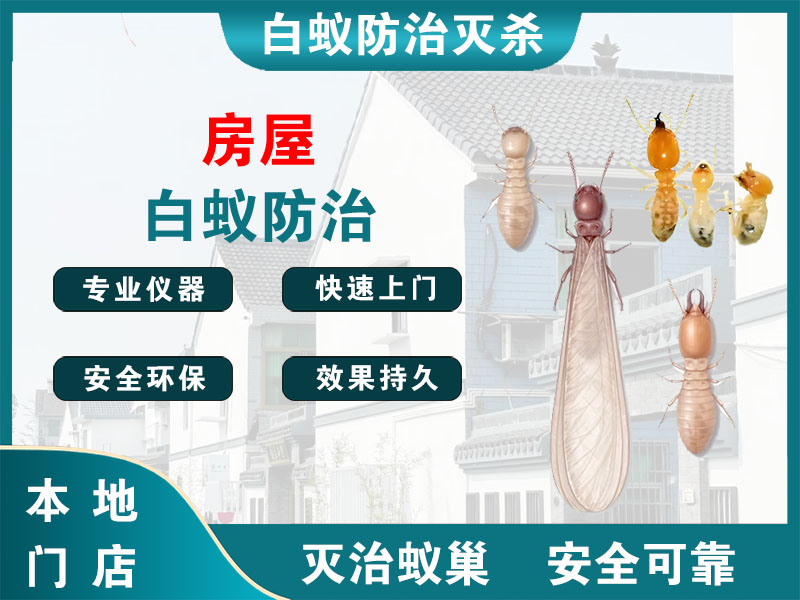 建德房屋白蚁防治